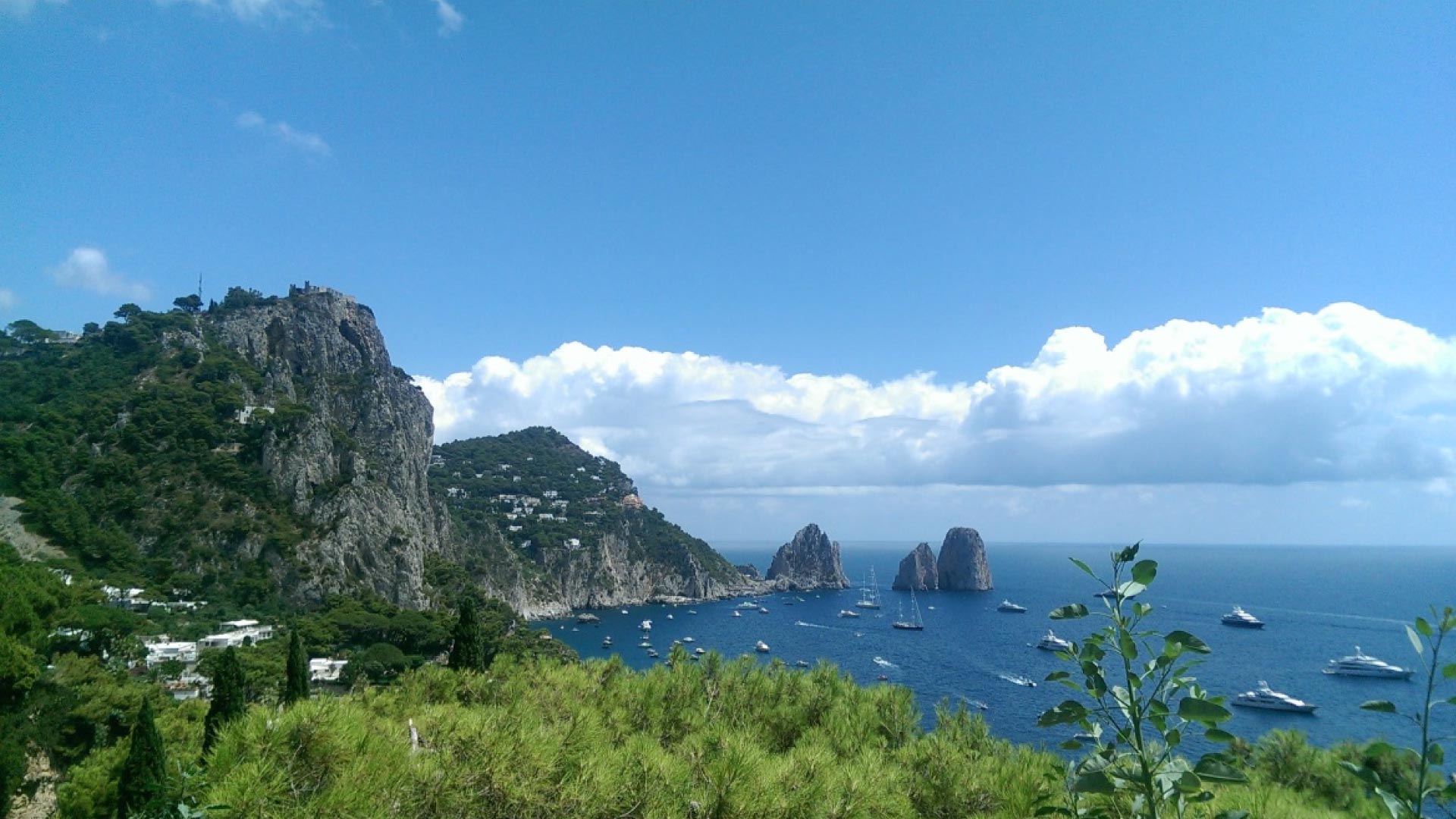 header capri