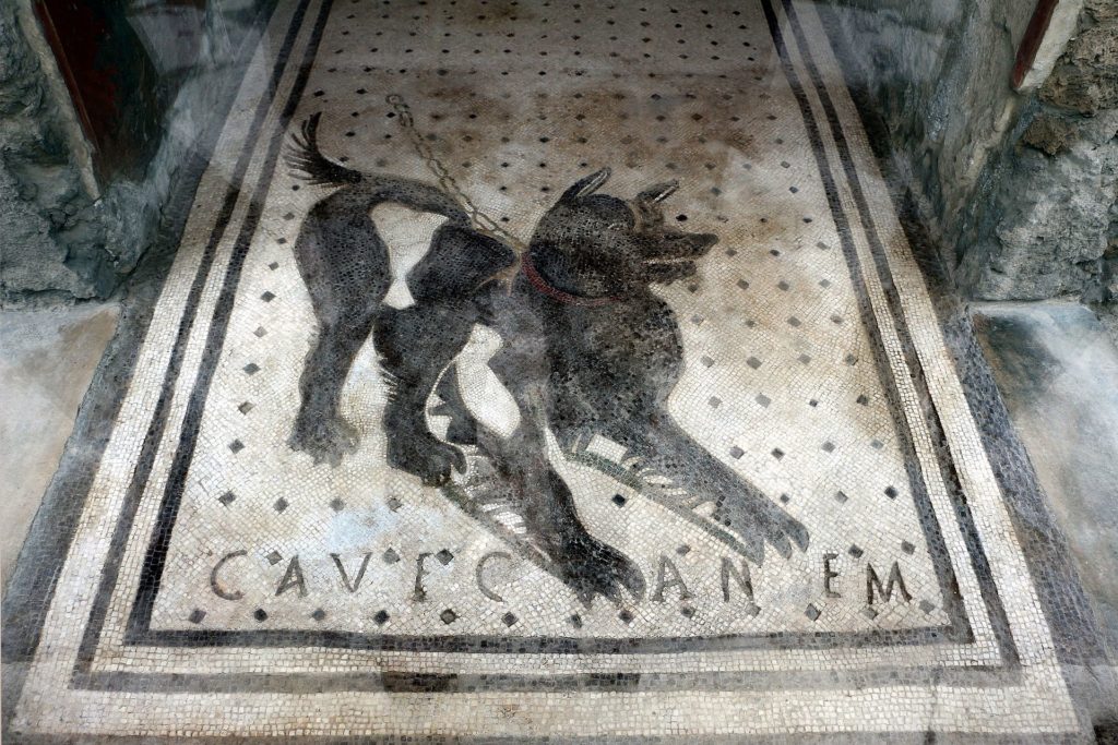 "Cave Canem", Be aware of the dog