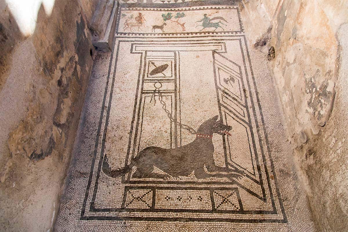 Mosaic-in-Pompeii